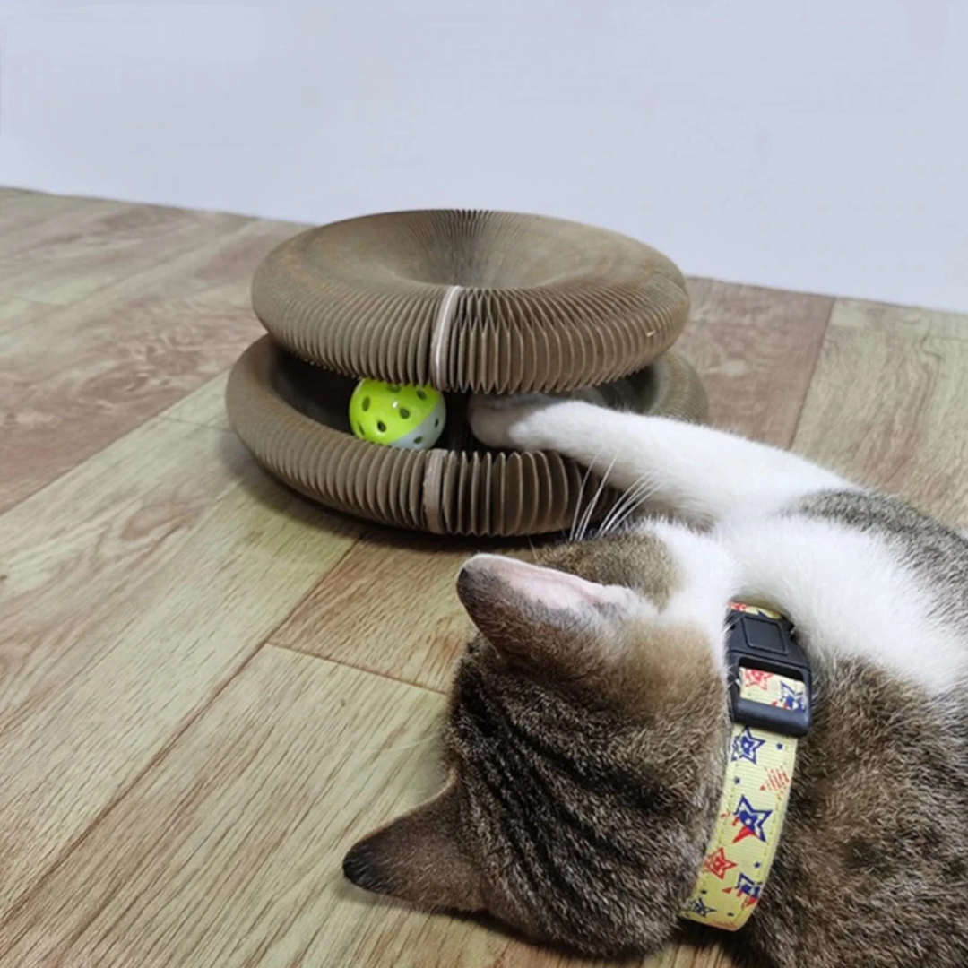 Cardboard cat toy – round scratcher with ball for indoor use