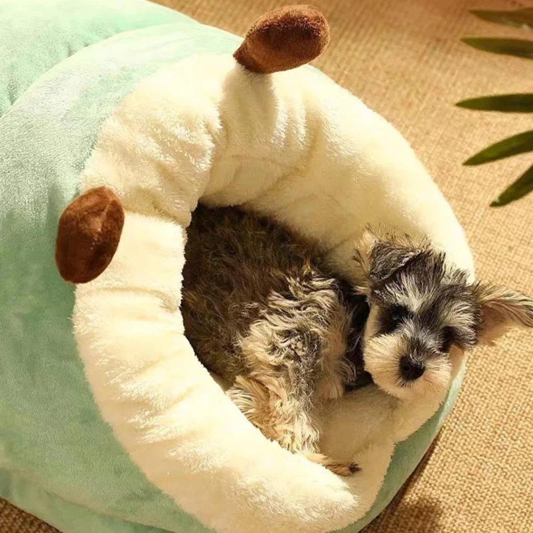 Plush pet bed – enclosed nest for small dogs and cats indoor
