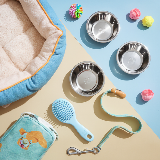 5 Must-Have Essentials for New Pet Owners