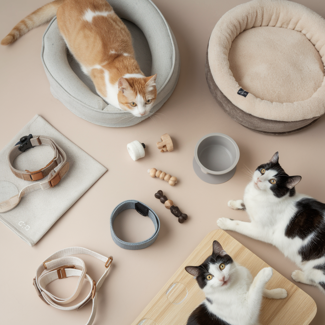 Cats