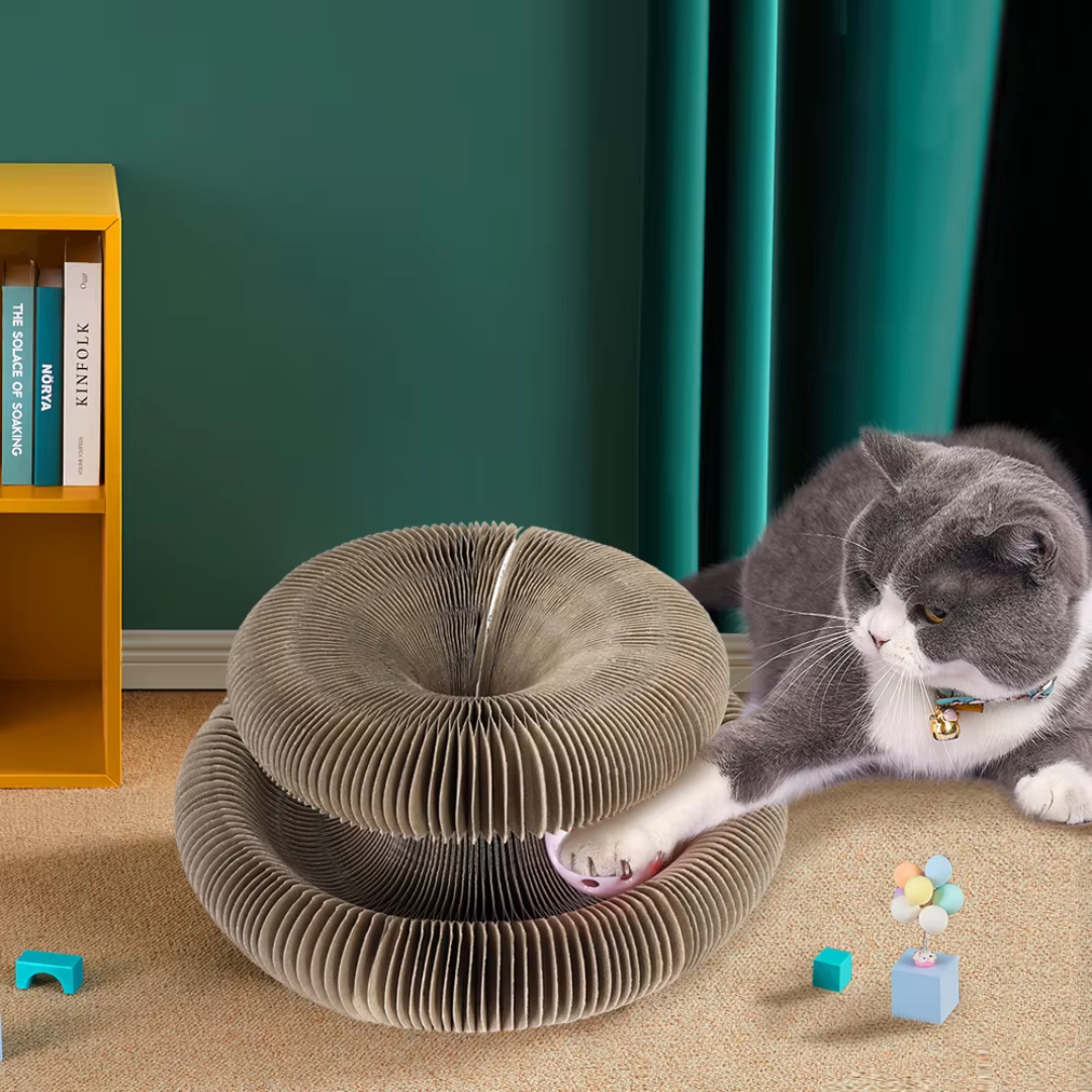Cardboard cat toy – round scratcher with ball for indoor use