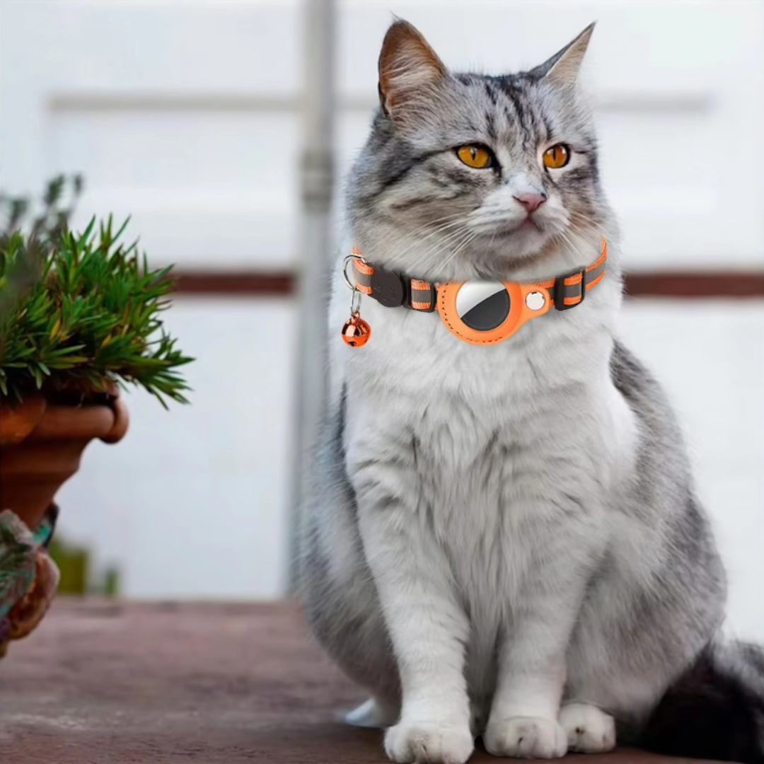 Airtag cat collar – reflective adjustable pet collar with bell