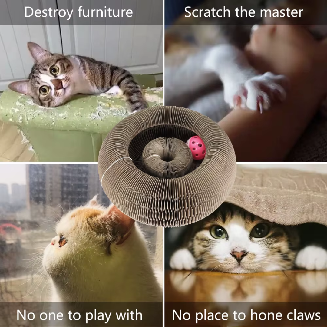Cardboard cat toy – round scratcher with ball for indoor use