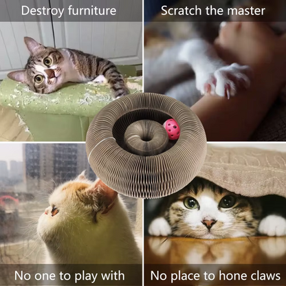 Cardboard cat toy – round scratcher with ball for indoor use